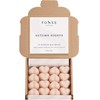 Autumn Nights Strong Scented Wax Melts 16 Pack - Autumn