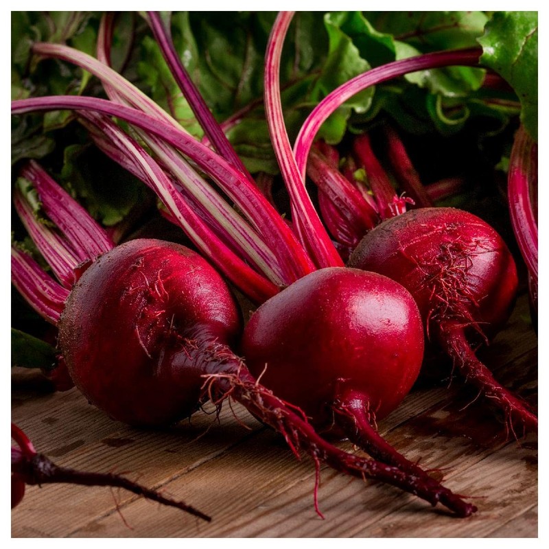 Everwilde Farms - 200 Ruby Queen Beet Seeds - Gold