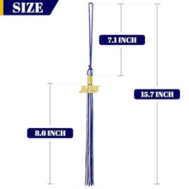 2025 Tassel Graduation White and Blue Graduation Tassel 2025 with Date Charm (Mixed White and Blue)