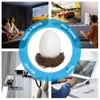 Todaair Sleek WiFi Bird Egg | Modern Design, Bird's nest