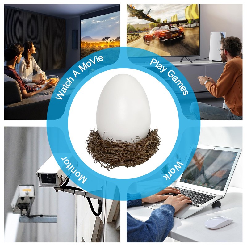 Todaair Sleek WiFi Bird Egg | Modern Design, Bird's nest
