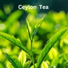 English Breakfast Tea | 100% Pure Natural Tea | Robust