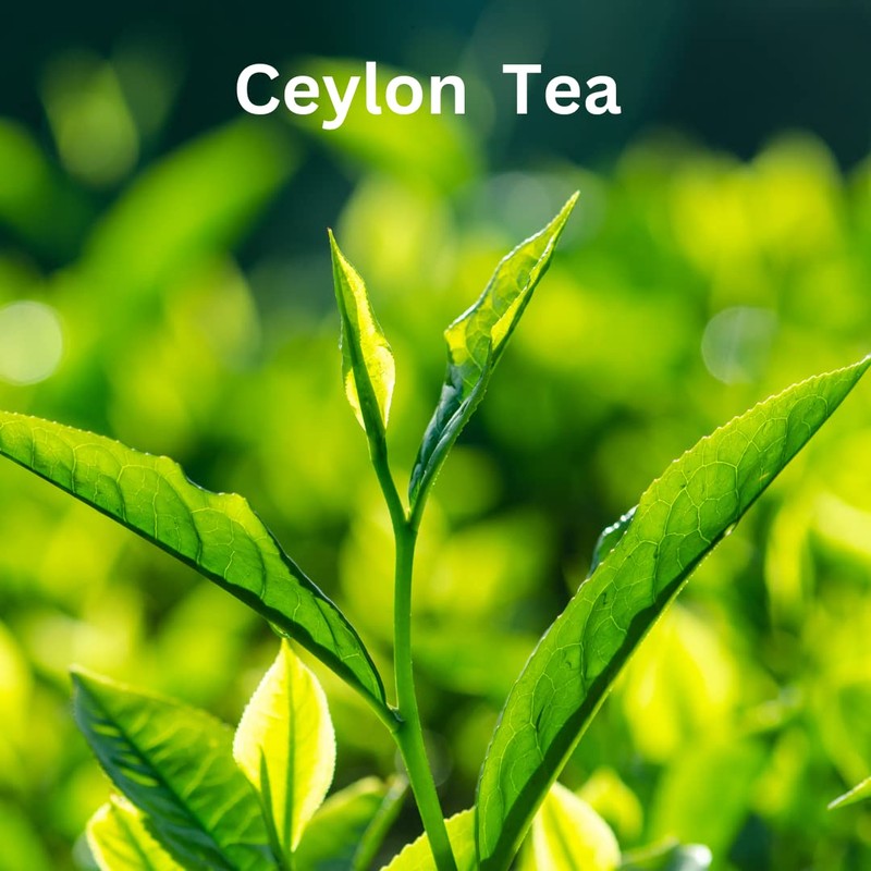 English Breakfast Tea | 100% Pure Natural Tea | Robust