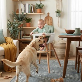 Mallify 3-in-1 Wooden High Chair, Convertible High Chairs for Babies and Toddlers, Baby Highchair with Adjustable Legs & Dishwasher-Safe Tray, Sleek Hardwood & Premium PU Cushion, Green