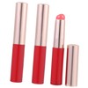 Baluue 4sets Professional Makeup Brush Collection Lip Brush Lipstick Applicator