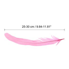 PATIKIL 10-12 Inch Rooster Feathers, 50 Pack Bulk Natural Feathers for Crafts Carnival Handwork Clothing Costumes Wedding Party Style 1, Pink