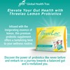 Global Health Trax ThreeLac Lemon Probiotic Drink Mix for Digestive