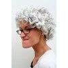 WIG ME UP - PW0035-K309 Wig Grey Curls Granny Granny