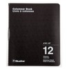 Blueline Columnar Book, Twin-Wire Binding, 12 Columns with Description, 80
