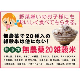 20 Kinds of Millet Rice, 20 Mixed Grain Rice, 15.9 oz (450 g) x 2 Bags ★ Compact ★ No chemical additives and no chemical pesticides cultivated without chemical fertilizers. Ingredients: Pressed