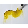 Winsor & Newton Additivo Acquerello 75ML Liquido Bile di Bue