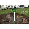 GARDEN SECRETS (2 Pack) Professional Solar MOLE & Snake Repellent,