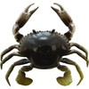 SAVAGE GEAR TPE 3D Crab 4 PULG TC100-NP-NATURAL Peeler