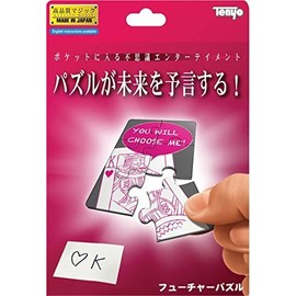 Future puzzle by Tenyo