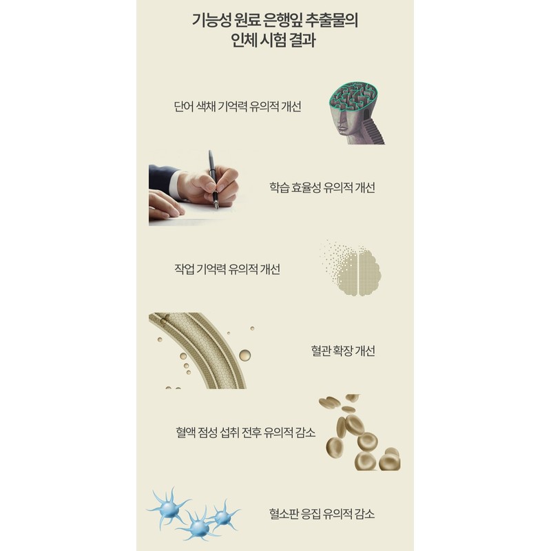 Benefits of Ginkgo Leaf Extract Blood Circulation Reduction Blood Circulation