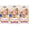 Poly Palette Vital Colour Intensive Cream Hair Colour 10-11 Silver