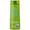 Garnier Fructis Shampoo Strength and Shine 2-in-1 360 ml