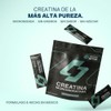 Creatina Monohidratada en Polvo - 30 Sticks Individuales | Sin
