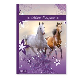 ROTH Certificate Folders A4 Girl V3