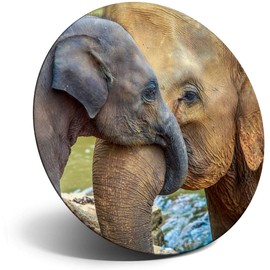 Destination Vinyl ltd Magnet for Refrigerator, Fridge - Cute Elephants Family Animal for Office, Cabinet and Whiteboard, Magnetic Stickers, 3711