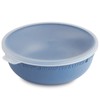Rotho Tresa Bowl Lid, Food Grade Plastic (PP), BPA-Free, Blue/Transparent,