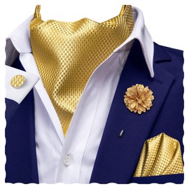 Hi-Tie Ascot Lapel Pin Set Mens Cravat Ties for men Wedding Scarf Tie Party Business Formal Tuxedo,Gold Plaid