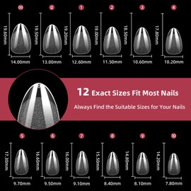 DGXWLLW 240 Pcs Extra Short Almond Nail Tips, XS Clear Press on Nails Almond, 12 Size Acrylic Pre Shaped False Nails Tips, Soft Gel X Full Cover Nail Tips Extensions Kit for Nail Salon Diy Supplies