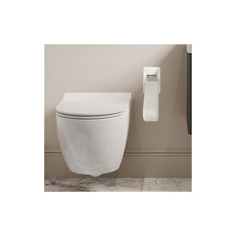 lesolar Foldable Toilet Grab Bar,Foldable Drop Down Toilet Rails with