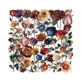 Pack of 50 Transparent Dried Flowers Stickers for Fridge, Laptop, Bicycle, Luggage, Bumper, Cute Plants, Waterproof Vinyl Decal, Adult Gift, Flower Aesthetic Graffiti Stickers