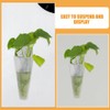 Toddmomy 2pcs Wall Mounted Plant Terrariums Cone Shaped Hanging Planter