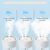 Humidifier 2L Large Capacity Quiet USB 3 Modes Hydrating Diffuser