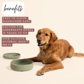 Should We Go? The Perfect Dish - Durable Dog Water Bowl - No Spill - Less Mess Non-Tippable Water & Food Bowl, Pure Silicone, Spill Proof with Suction Cup, Suitable for All Pets, Large-Charcoal