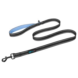 PHOEPET 5 Feet Heavy Duty Dog Leash - Reflective - Soft Padded Handle Traffic Grip for Extra Control (L,Baby Blue)