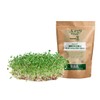 Natures Root Organic Broccoli Sprouting Seeds 250g - Superfood |