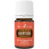 Young Living Essential Oils ~ Ravintsara 5ml 100% Pure Theraputic Grade