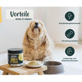Wolf Belly - Grünlippmuschel Hund Pulver 100% Natürlich (180gr) Gelenkpulver für Hunde und Katzen Vitamine, MSM für Arthrose Hund, Gesundheitsprodukte mit hohem Kurkuma für Hunde - Joints of Steel