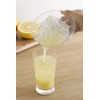 Save Industry Squeezer Direct to Glass Tornado Juicer