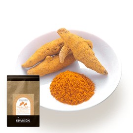 ターメリック (ウコン) パウダー 100％ 100g カレースパイス スパイスカレー ｜保存に便利なチャック付袋入り！｜ ウコンパウダー ターメリックパウダー 粉末 秋うこん 業務用 スパイス カレー