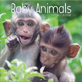 TURNER PHOTOGRAPHIC 2025 Baby Animals 12x12 Photo Wall Calendar (25998940006)