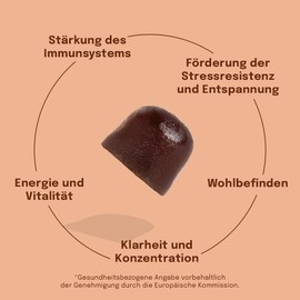 Vitalpilz-Gummies mit Löwenmähne-Pilz, Shiitake-Pilz, Reishi & Chaga-Pilz | 60 Gummies mit 4000 mg Pilzextrakt | Vegan & Zuckerfrei | Sundt Nutrition