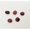 5 Natural Red Agate Stone - 5 Polished Crystals with