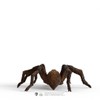 schleich 13987 Aragog, from 6 years Wizarding World - Figurine,
