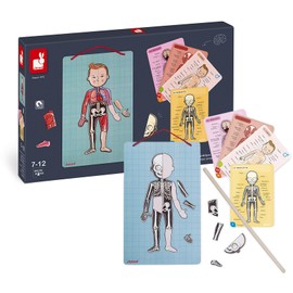 Janod Bodymagnet Educational Human Body Game - Anatomy, Organs, Skeleton, Muscles - 76 Magnetic Pieces - From 7 Years Old, 12 Languages, J05491