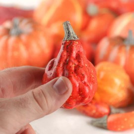 Unbranded Bulk Lot of 24 Artificial Autumn Harvest Pumpkins and Gourds