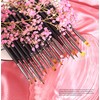 16PCS Nail Art Brushes Professional Set with Lid and Portable