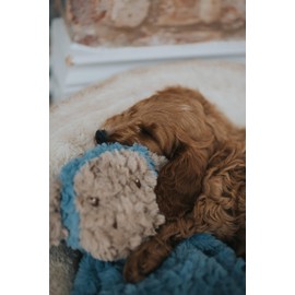 Rosewood MyDog Luxury Plush Monkey Toy For Dogs, Stuff-Free Comfort Toy, Calming Dog Toy, 40cm