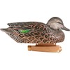 Greenhead Gear Pro-Grade Duck Decoy,Green-Winged Teal/Early Season Hen Pack,1/2 Dozen