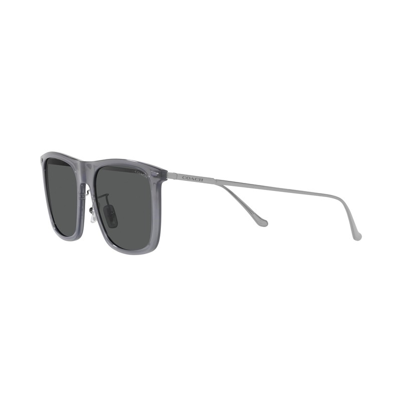 Coach HC8356 Sunglasses, Transparent Dark Grey/Dark Grey Solid, 56 mm