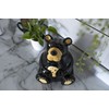 DEMDACO Bearfoots by Jeff Fleming Cute Bear With Cookie Classic