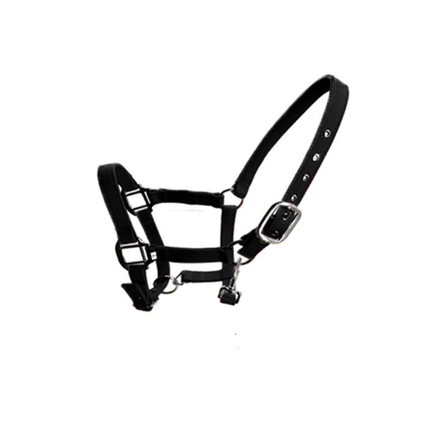 SagaSave Black Nylon Padded Horse Headcollar Adjustable Nose & Buckle